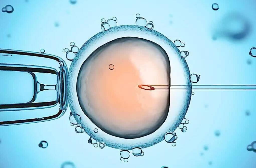 首批機器受精試管嬰兒出生
