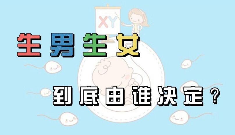 生男生女由誰決定 生男生女由誰決定