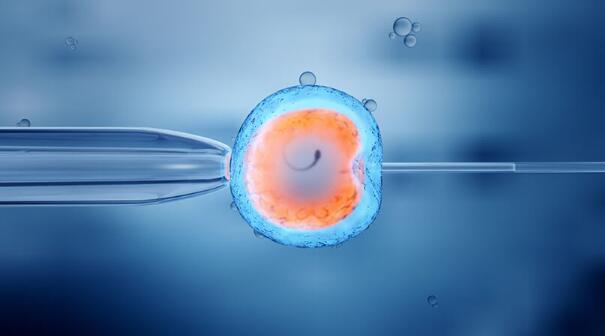 試管嬰兒的全部流程是什么?