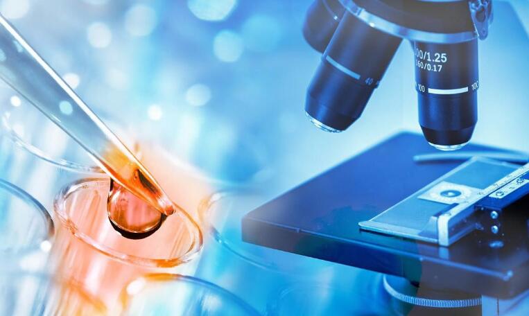 第三代試管嬰兒的流程是什么？