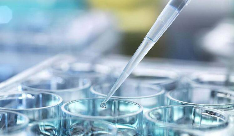 試管嬰兒的成功率是多少？