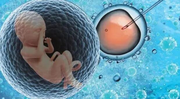 試管嬰兒前期檢查流程是什么