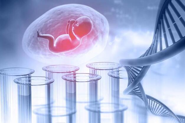 2023年石家莊住院保胎保費是多少