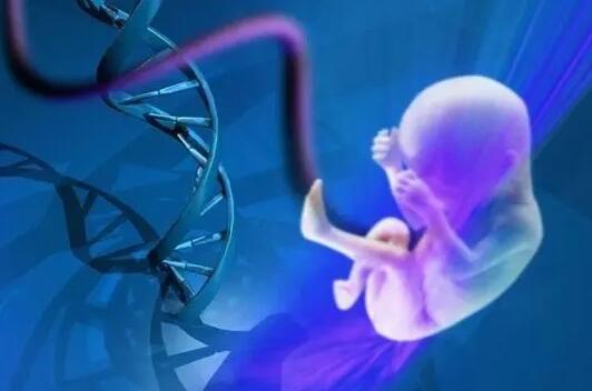 新加坡哪家試管醫院最好？新加坡試管嬰兒多少錢？