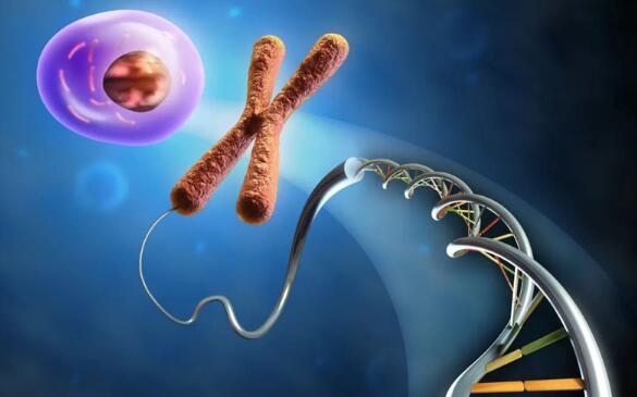 俄羅斯做試管嬰兒需要多少錢?