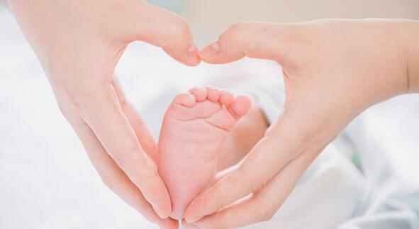 三代試管嬰兒流程及費用是多少