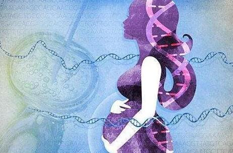 【熱點關注】在泰國做試管嬰兒要花多少錢? 【熱點關注】在泰國做試管嬰兒要花多少錢?