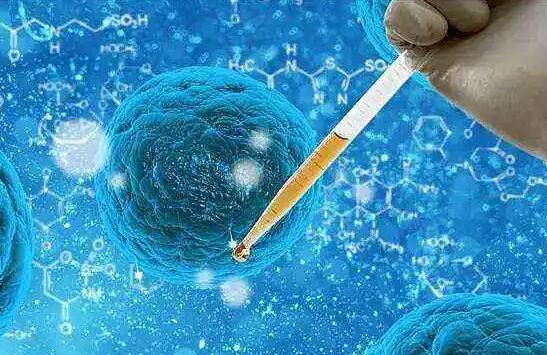 鄭州試管嬰兒手術(shù)多少錢(qián)?鄭州試管嬰兒費(fèi)用具體都有什么? 鄭州試管嬰兒手術(shù)多少錢(qián)?鄭州試管嬰兒費(fèi)用具體都有什么?