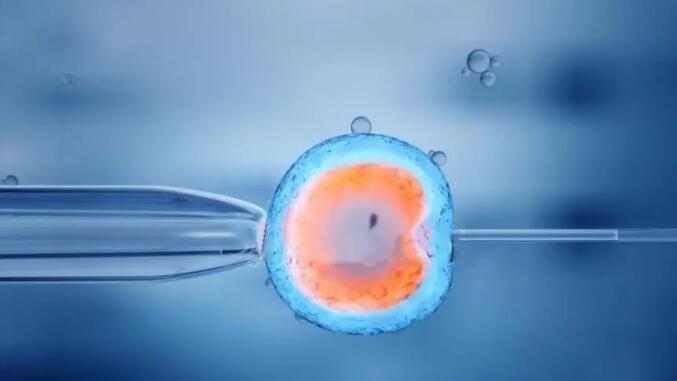 重慶試管嬰兒大概多少錢?重慶試管嬰兒費(fèi)用項目主要分為什么?