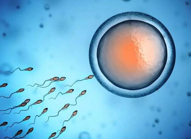 濟南試管嬰兒大約得花多少錢?如何提高試管嬰兒的成功率? 濟南試管嬰兒大約得花多少錢?如何提高試管嬰兒的成功率?