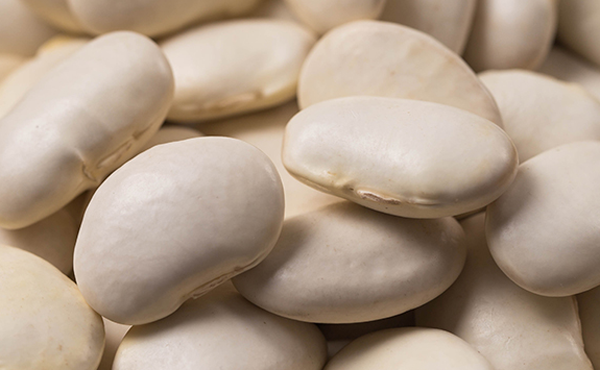 白豆 白豆