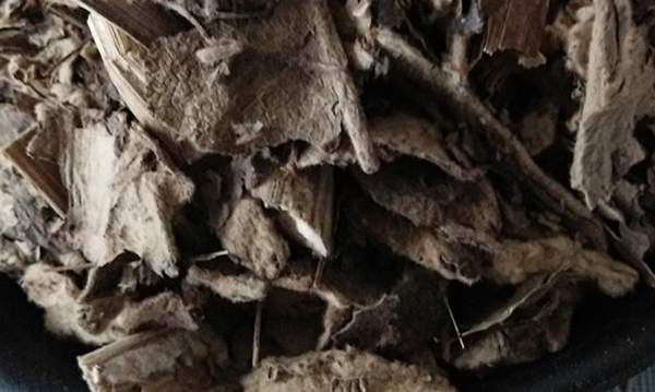 艾納香根 艾納香根