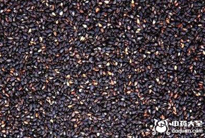 黑脂麻 黑脂麻