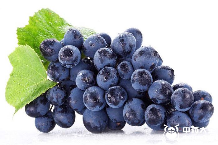 黑葡萄液汁