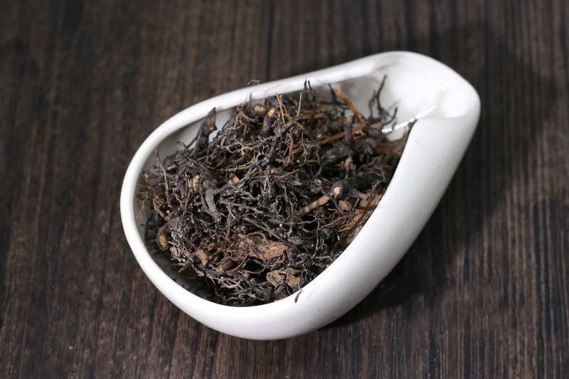 海金沙根 海金沙根