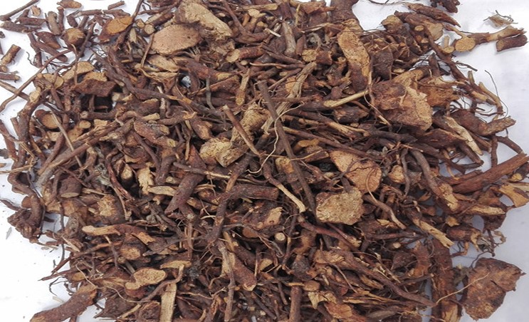 薅田藨根 薅田藨根