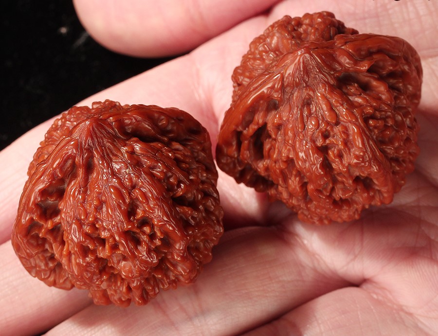 核桃楸果 核桃楸果