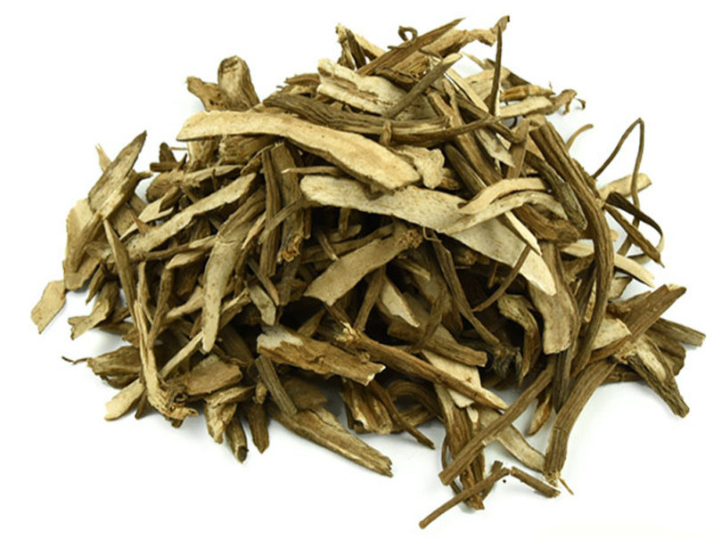 廣東升麻 廣東升麻