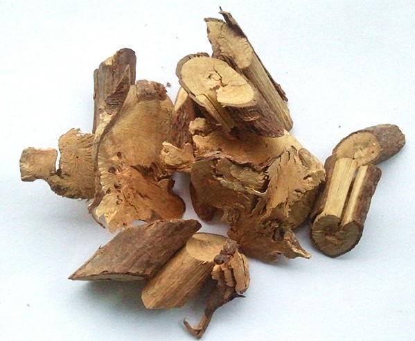 高粱泡根 高粱泡根