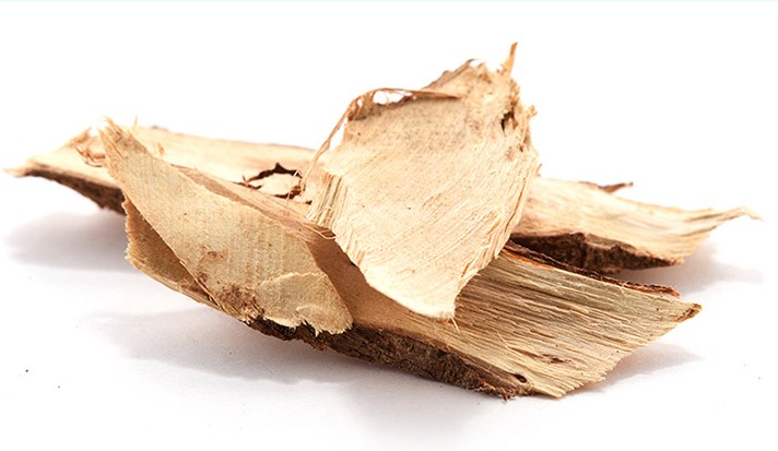 白背葉根 白背葉根