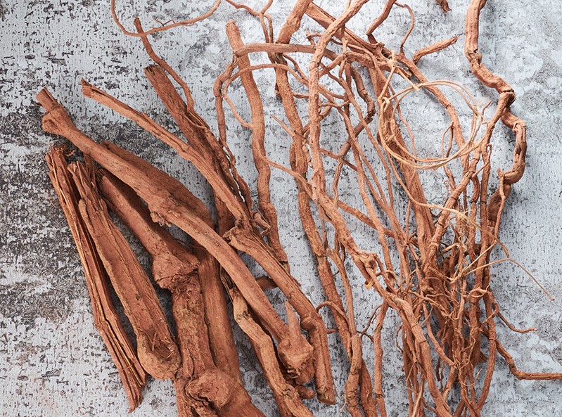 白背葉2 白背葉2