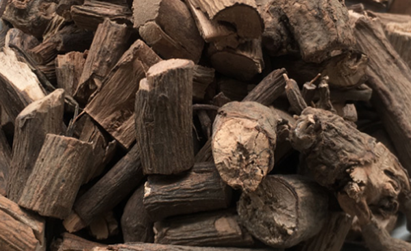 矮莖朱砂根 矮莖朱砂根