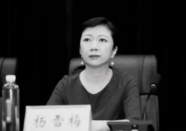 河南一高校校長(zhǎng)突發(fā)心臟病去世