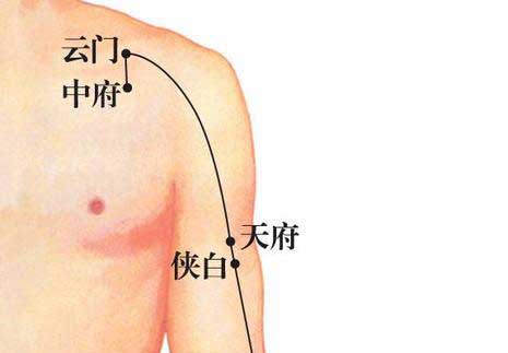 中府穴 中府穴