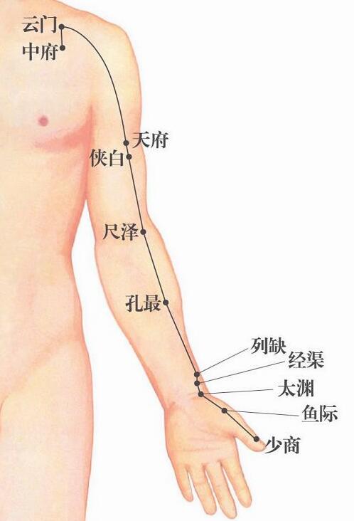 經(jīng)渠穴 經(jīng)渠穴
