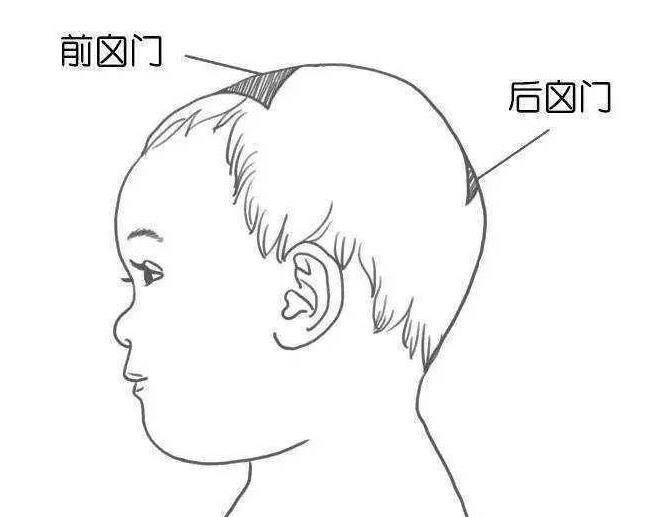 囟門發(fā)育不良的表現