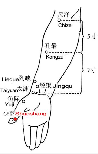 少商穴