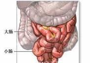 小腸損傷
