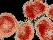 柯薩奇病毒和埃可病毒感染