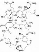 維生素B12缺乏所致貧血
