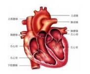 主-肺動(dòng)脈隔缺損
