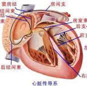 房室傳導阻滯