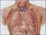 急性肺源性心臟病