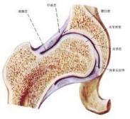 甲狀旁腺功能亢進(jìn)性心肌病